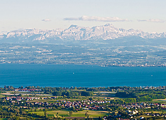 Blick auf den Bodensee und Säntis